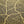 Gold Foil Maps