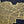 Gold Foil Maps