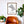 Oakland Neighborhood Map Poster, Oakland City Map Art Print